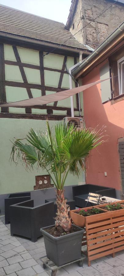 קינצהיים Gite Chez "Mamie Schlop" מראה חיצוני תמונה