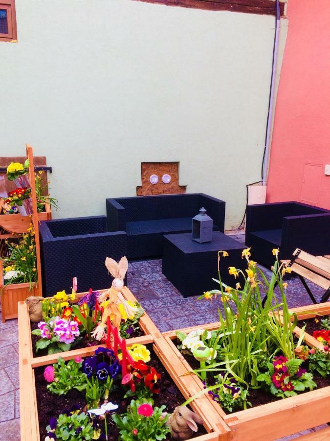 קינצהיים Gite Chez "Mamie Schlop" מראה חיצוני תמונה